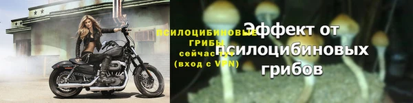 а пвп мука Иннополис