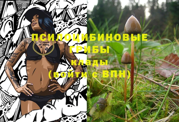 COCAINE Инта